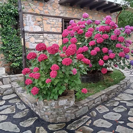 Nykteri Heritage House Olympus & Sea View Гостевой дом Палеос-Пантелеймонас